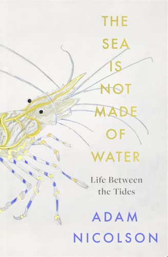 The Sea is Not Made of Water: Life Between the Tides [Hardcover] Nicolson, Adam