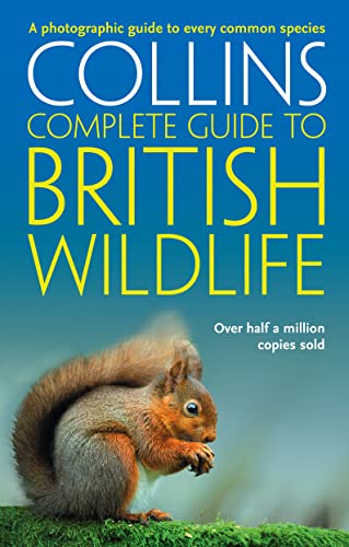 British Wildlife: A photographic guide to every common species (Collins Complete Guide) [Paperback] Sterry, Paul